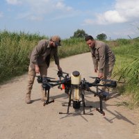 Drone ile sinek avı 