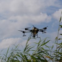 Drone ile sinek avı 