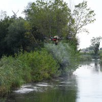 Drone ile sinek avı 