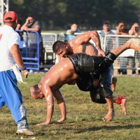 Başpehlivan Serhat Gökmen oldu 