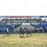 Başpehlivan Serhat Gökmen oldu 