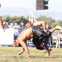 Başpehlivan Serhat Gökmen oldu 