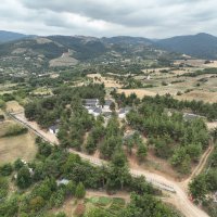 Can dostlara yeni yuva 