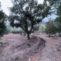 Teoman Özalp Parkı yenileniyor 