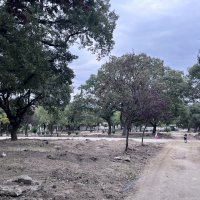 Teoman Özalp Parkı yenileniyor 