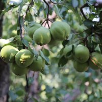 Başkan Aktaş’tan çiftçiye tarlada ziyaret 