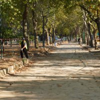 ‘Yeşil’ yatırımlar hız kesmiyor 