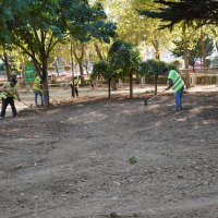 ‘Yeşil’ yatırımlar hız kesmiyor 