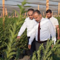 Bursa’nın yükselen değeri; tarım 