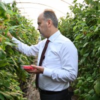 Bursa’nın yükselen değeri; tarım 