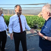 Bursa’nın yükselen değeri; tarım 