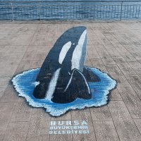 Büyükşehir, sokak sanatında boyut değiştirdi 