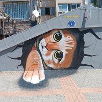 Büyükşehir, sokak sanatında boyut değiştirdi 