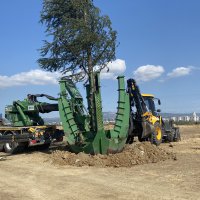 Bursa’da yeşil transferi sürüyor 