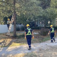 Bursa’da yeşil transferi sürüyor 