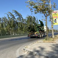 Bursa’da yeşil transferi sürüyor 