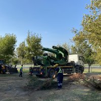 Bursa’da yeşil transferi sürüyor 