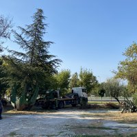 Bursa’da yeşil transferi sürüyor 