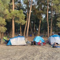Doğa tutkunları Karagöz Şenlikleri’nde buluştu 