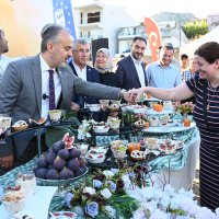 Bursa’nın 'Siyah incisi’nde hasat başladı 