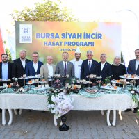 Bursa’nın 'Siyah incisi’nde hasat başladı 