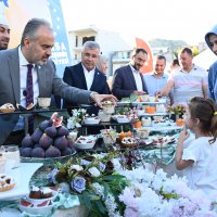Bursa’nın 'Siyah incisi’nde hasat başladı 