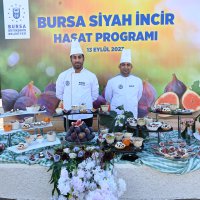 Bursa’nın 'Siyah incisi’nde hasat başladı 