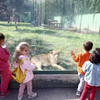 Çocuklara hayvan sevgisi aşılandı 