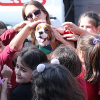 Çocuklara hayvan sevgisi aşılandı 