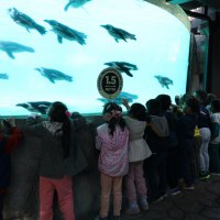 Çocuklara hayvan sevgisi aşılandı 