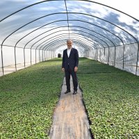 Bursa’nın çiçekleri, dağ bölgesinde açıyor 