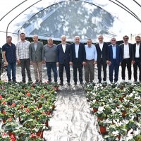 Bursa’nın çiçekleri, dağ bölgesinde açıyor 