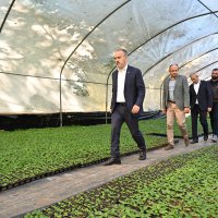 Bursa’nın çiçekleri, dağ bölgesinde açıyor 