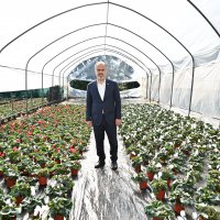 Bursa’nın çiçekleri, dağ bölgesinde açıyor 