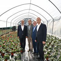 Bursa’nın çiçekleri, dağ bölgesinde açıyor 