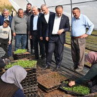 Bursa’nın çiçekleri, dağ bölgesinde açıyor 