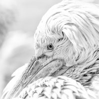 ‘Yüzyılın İzleri’ BursaFotoFest’te 