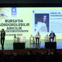 Arıcılıkta başarı yöntemleri 