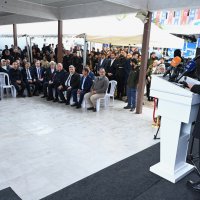 Bursa’nın zeytininde hasat vakti 