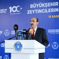 Bursa’nın zeytininde hasat vakti 