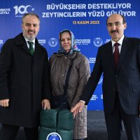 Bursa’nın zeytininde hasat vakti 