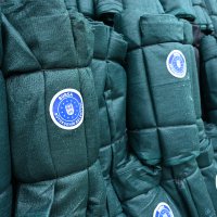 Bursa’nın zeytininde hasat vakti 