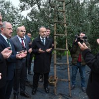 Orhangazi’de de zeytin hasadı başladı 