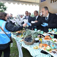 Orhangazi’de de zeytin hasadı başladı 