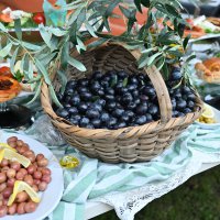 Orhangazi’de de zeytin hasadı başladı 