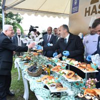 Orhangazi’de de zeytin hasadı başladı 