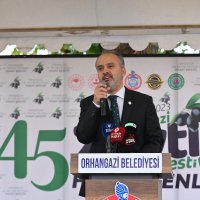 Orhangazi’de de zeytin hasadı başladı 