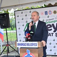 Orhangazi’de de zeytin hasadı başladı 