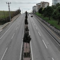 Bursa’da manolya zamanı 