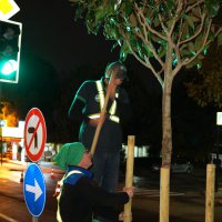 Bursa’da manolya zamanı 